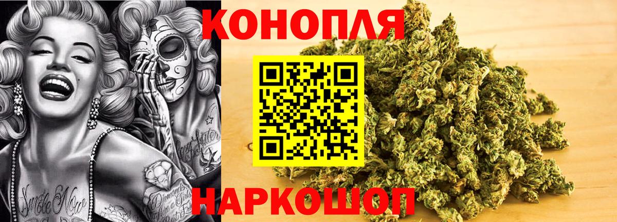 Бошки марихуана сатива Дедовск